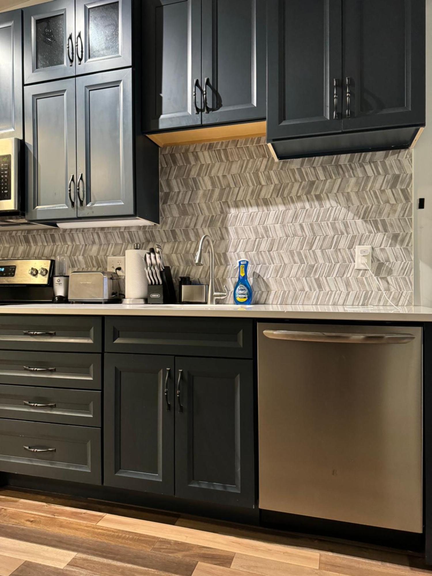 Luxury Downtown 1bd Rochester